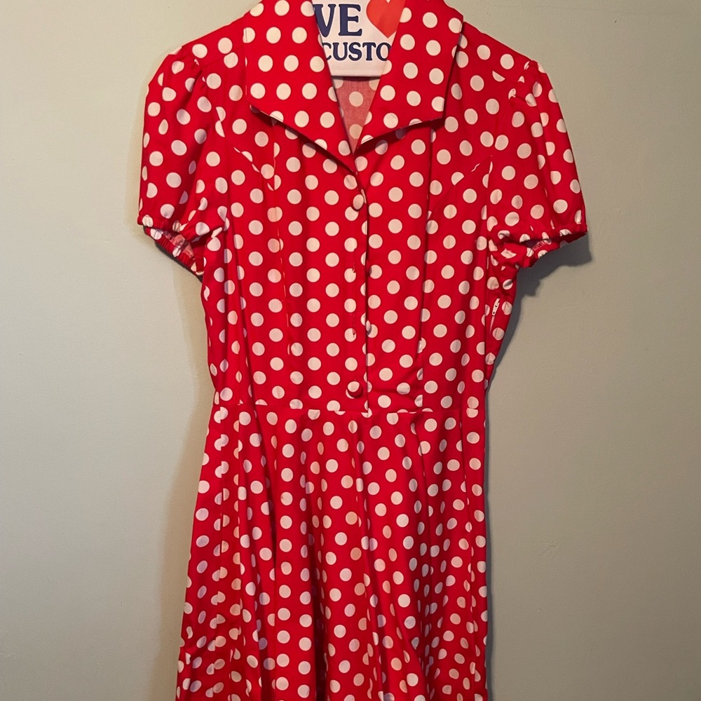 Magnolia Park Polka Dot Button Dress